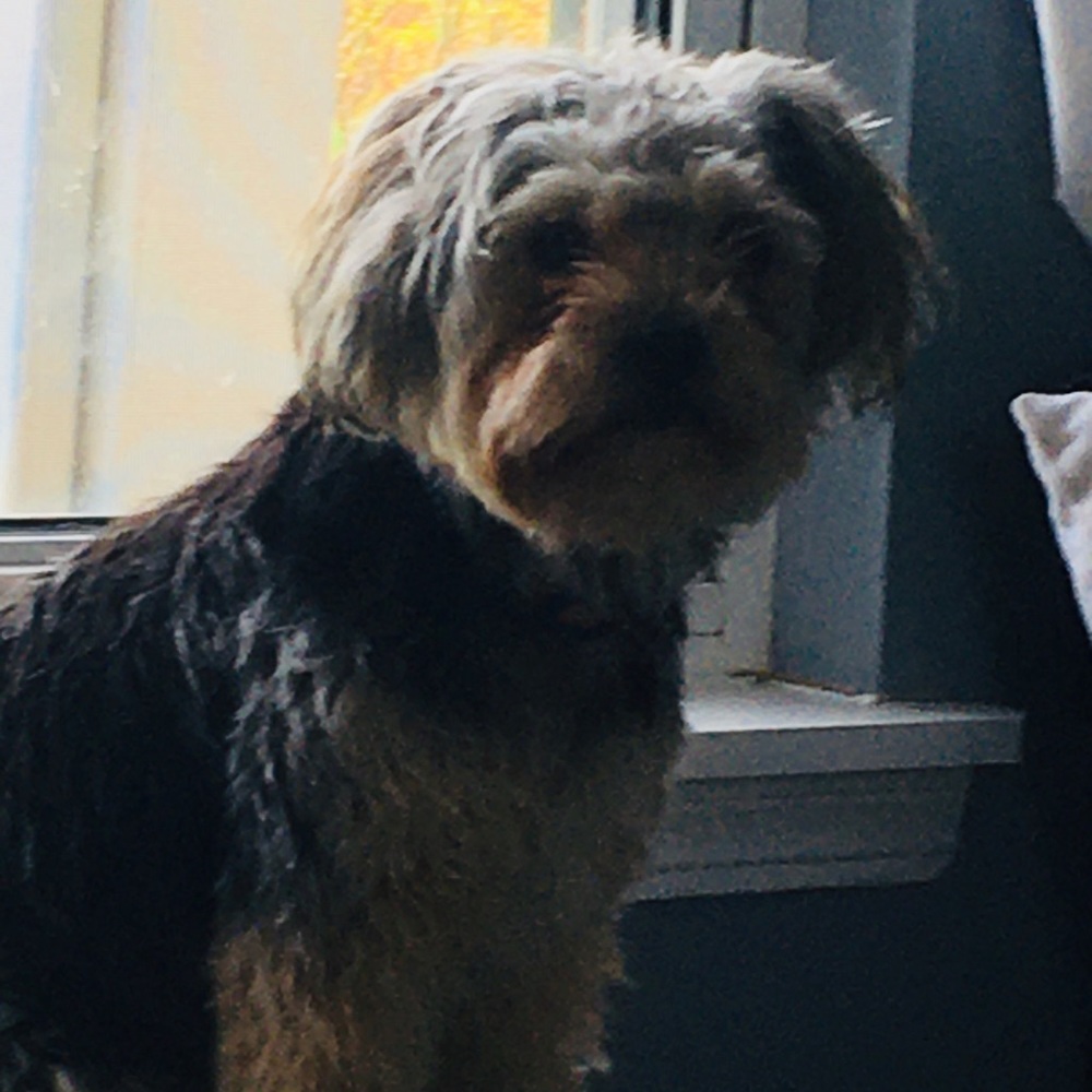 Meet your Posher, Levi